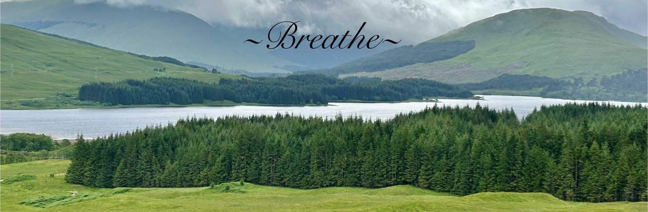 Header photo